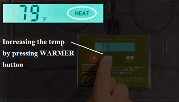 zoo med reptibator temperature adjustment