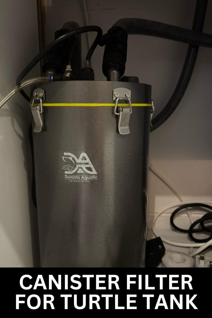 7 Best Filters for Turtle Tank (That Actually Works) – The Turtle Hub