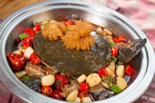 Are Softshell Turtles Good To Eat