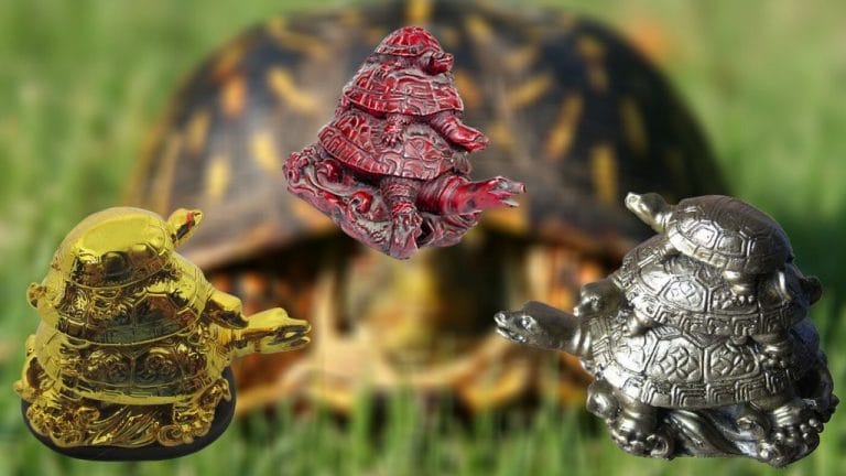 What Does It Mean When 3 Turtles Are On Top Of Each Other