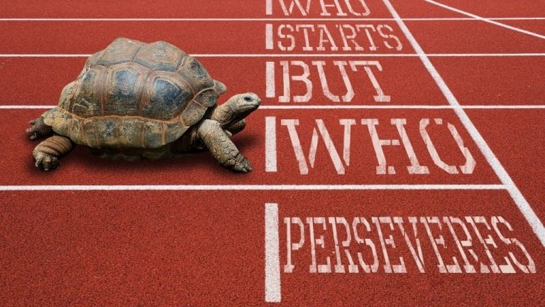 How Fast Are Turtles In Water