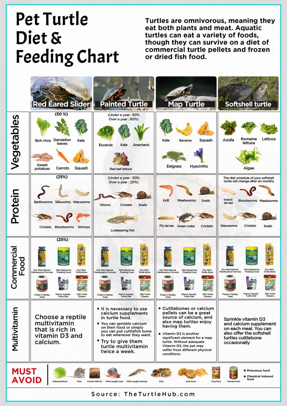 Pet Turtle Diet Feeding Chart infographic
