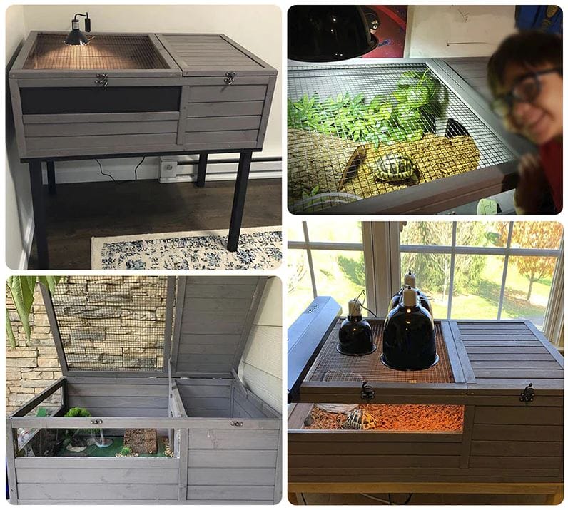 tortoise habitat alvituvin