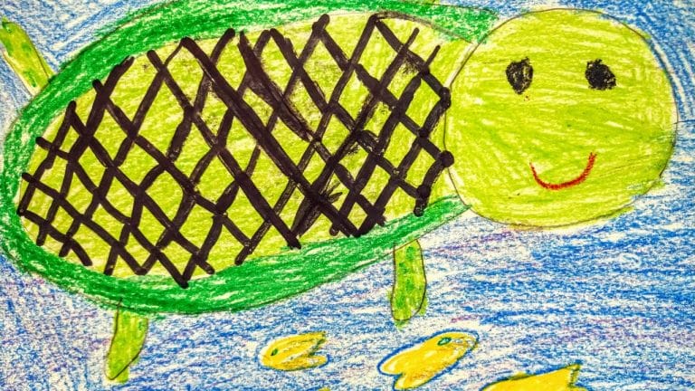 How To Know If Your Turtle Is Happy? [7 Easy Signs]