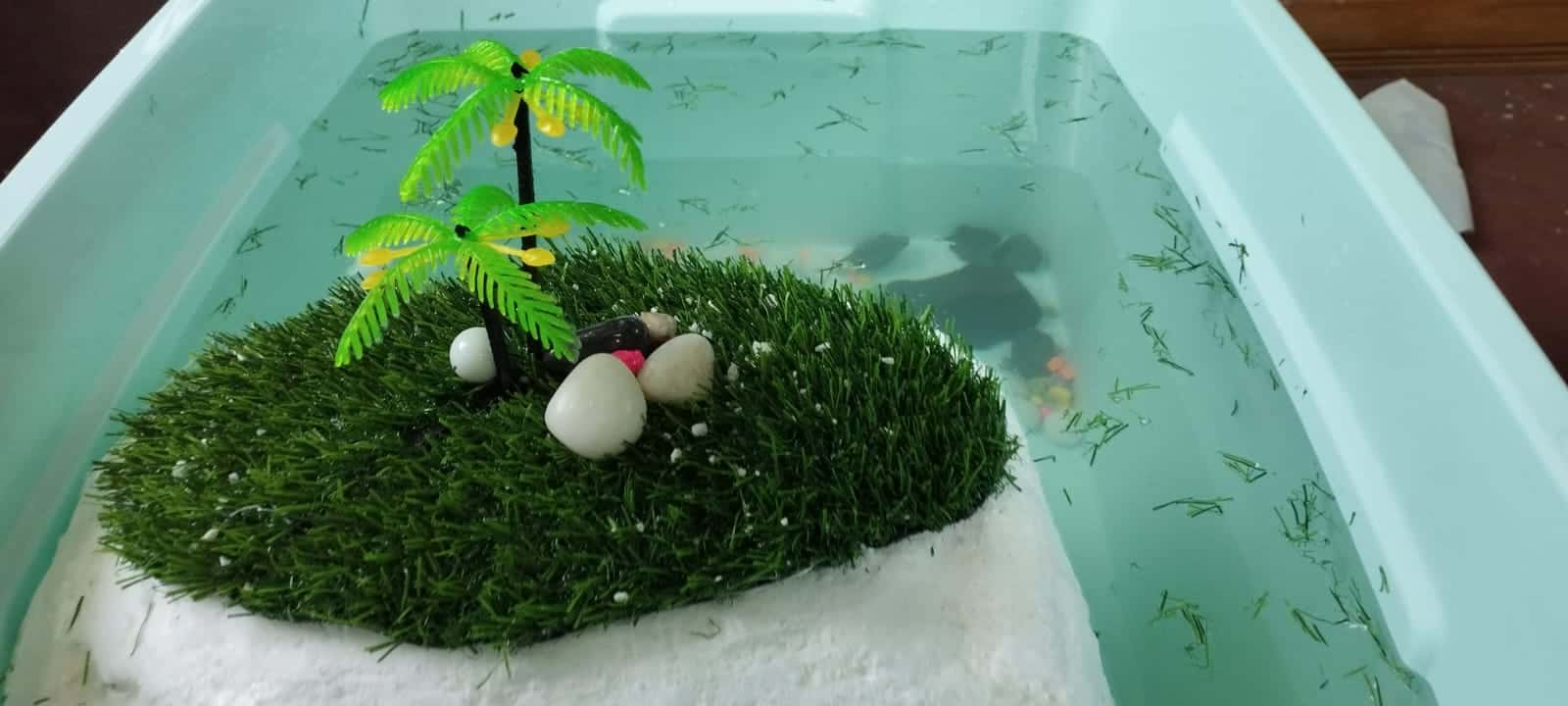 DIY Turtle Basking Area : 4 Methods (Steps With Pictures) – The Turtle Hub