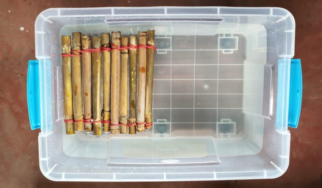 floating basking platform step 4