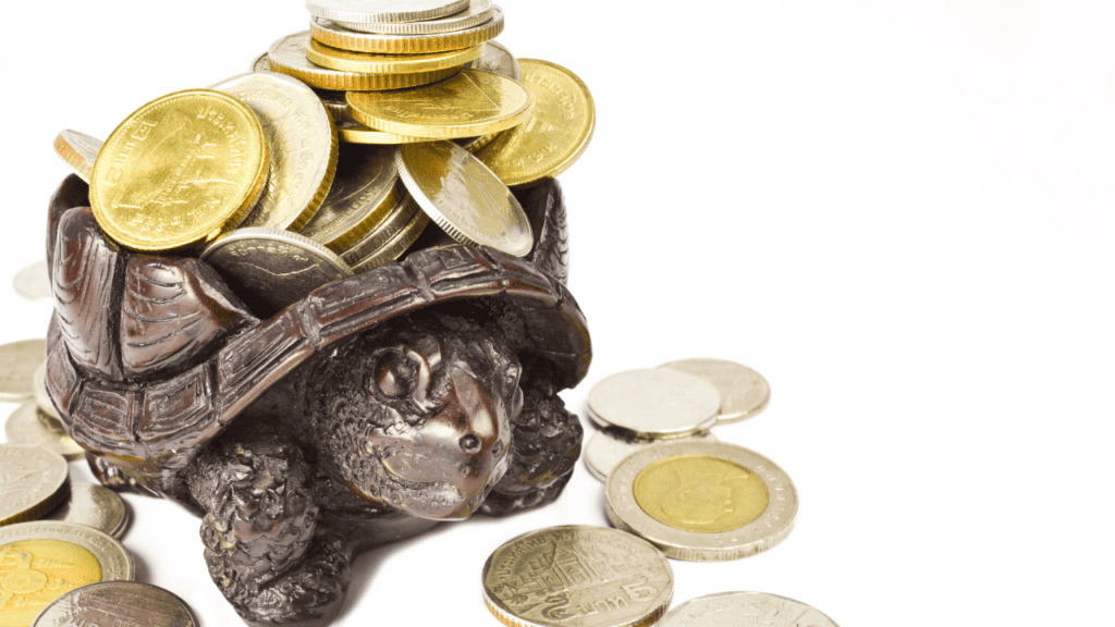 Qian Gui - Golden Coin Turtles/Tortoises