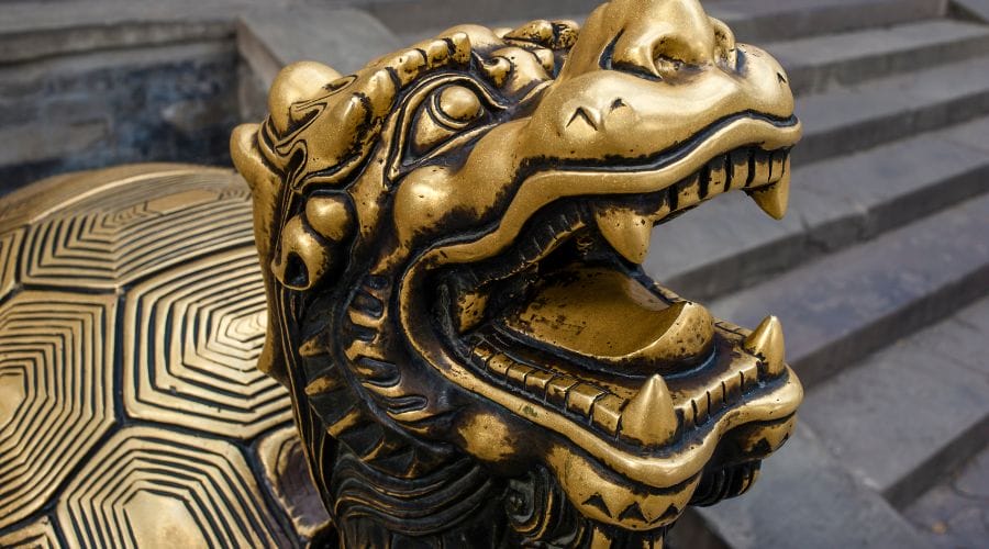 history of Turtles & Tortoises in China