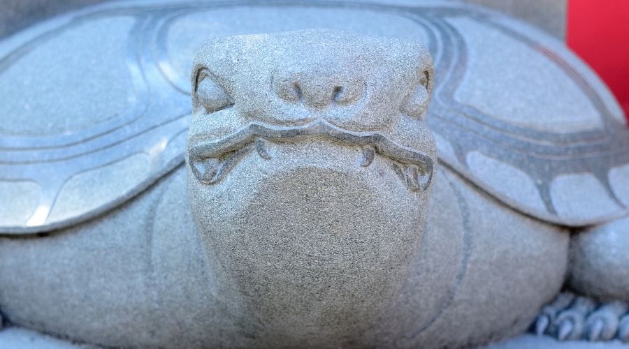 Turtles & Tortoises In Chinese Culture