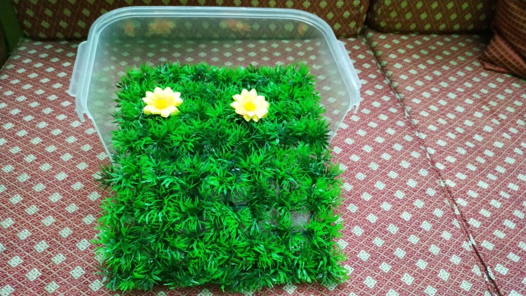 diy hanging basking are for turtle Step 6