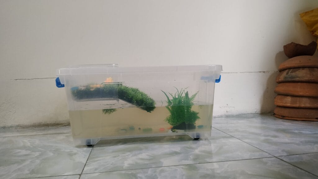 diy hanging basking are for turtle step 8