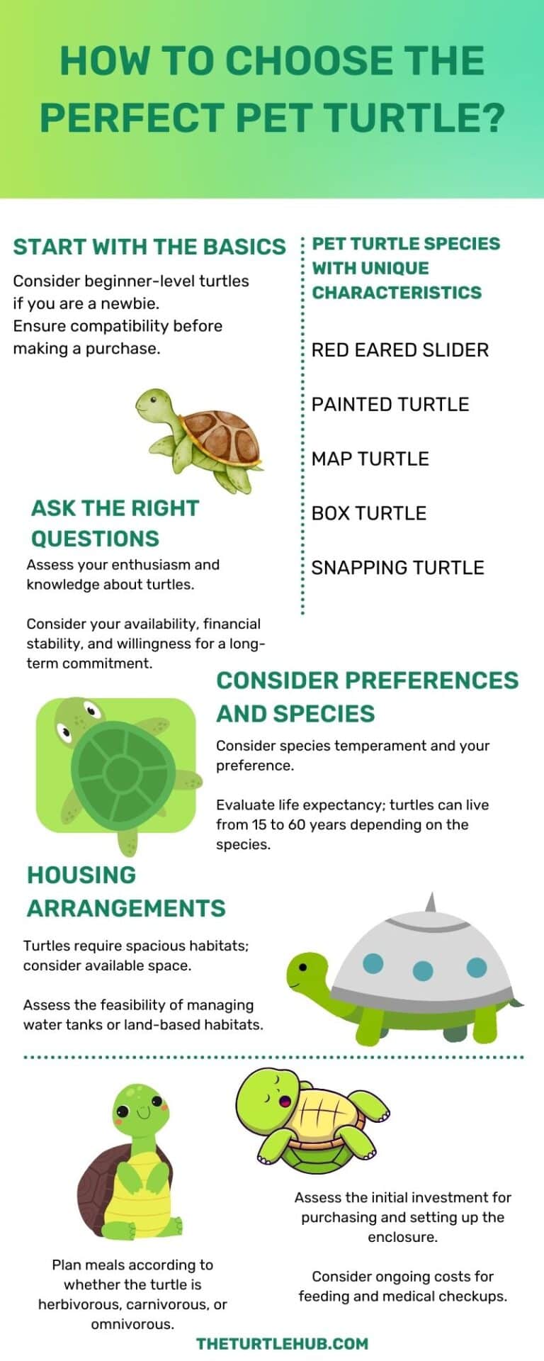 Choosing The Perfect Pet Turtle Infographic