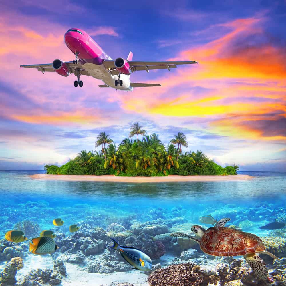 turtle, airplane, tropical island