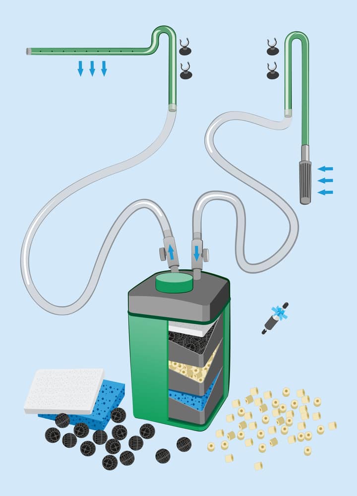 External filter for aquarium with media. Isolated vector illustration