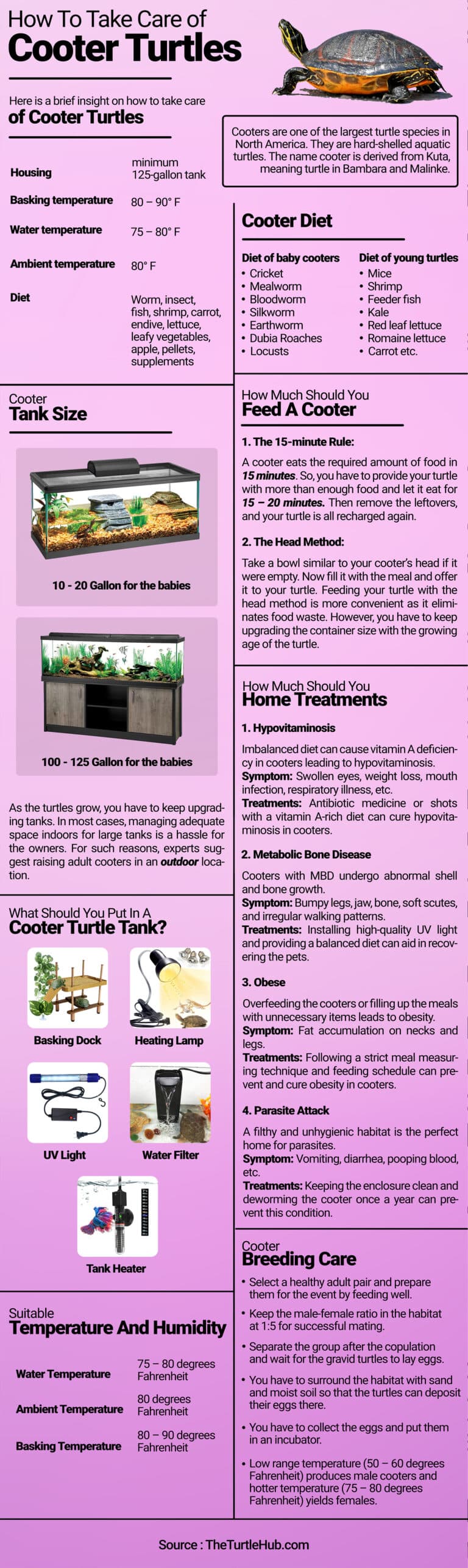 how to take care of Cooter turtles infographic