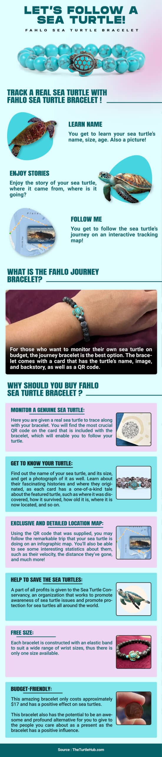 sea turtle tracking bracelet infographic