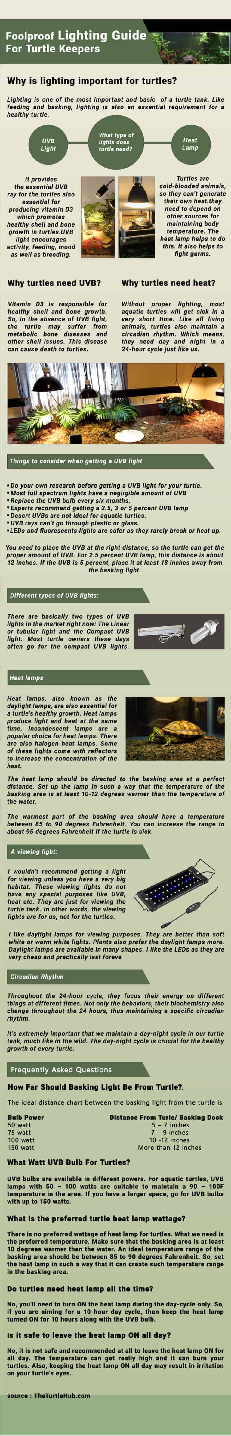 Lighting Guide For Turtles Infographic