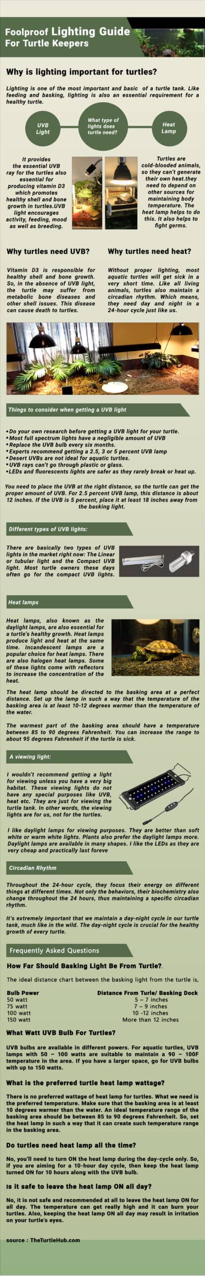 Lighting Guide For Turtles Infographic