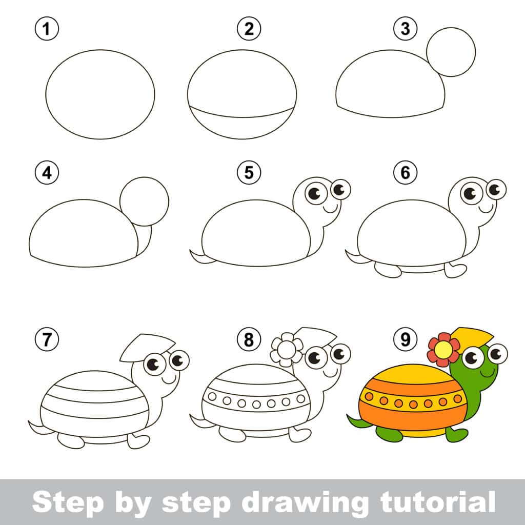 how to draw a cartoon turtle