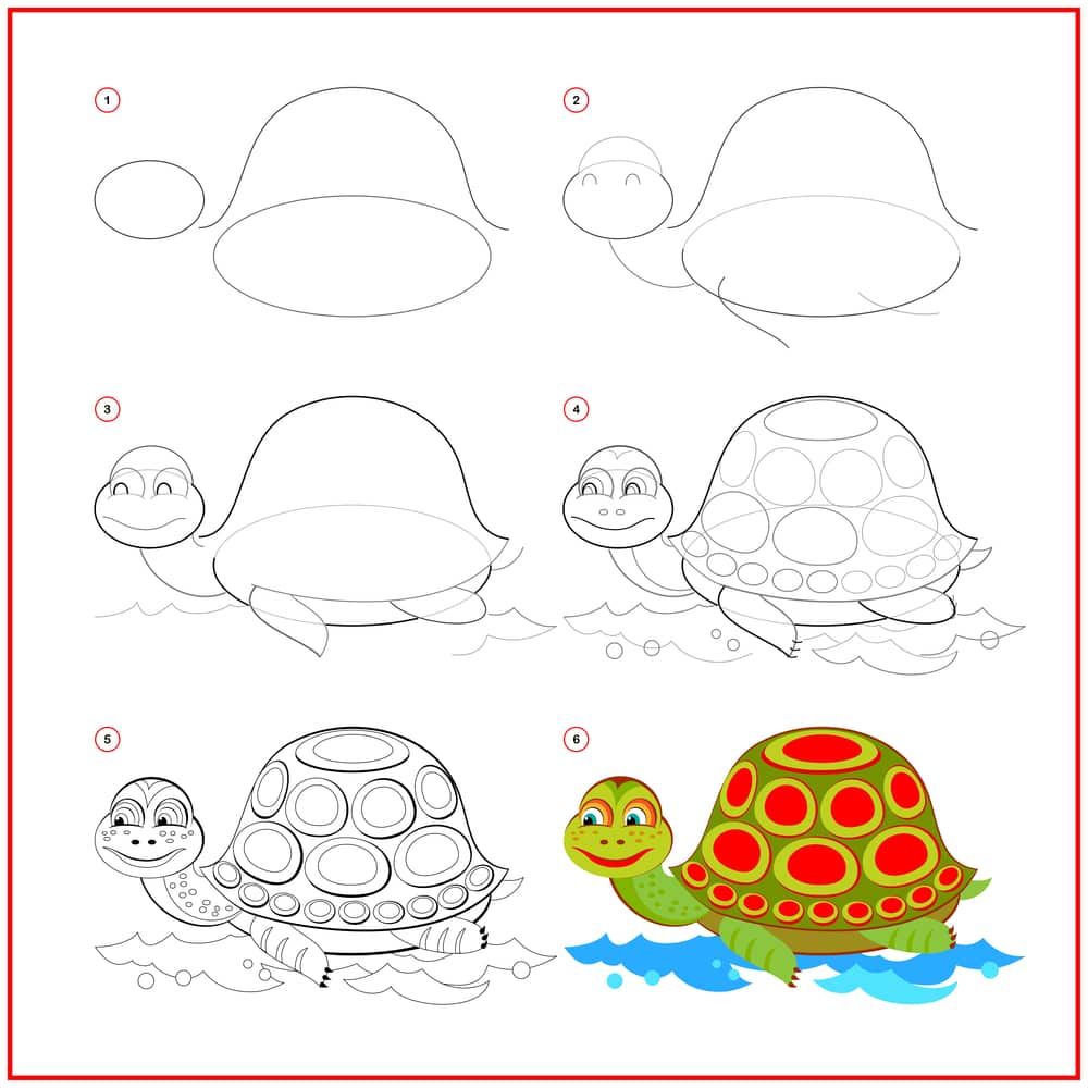 how to draw a cute turtle