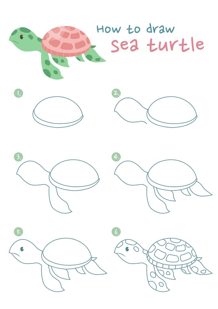 how to draw a sea turtle