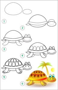 How To Draw A Turtle Step by Step [4 Methods] – The Turtle Hub