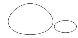 how to draw a turtle for kids step 1