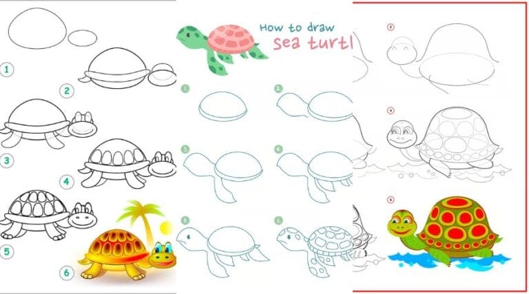 how to draw a turtle step by step