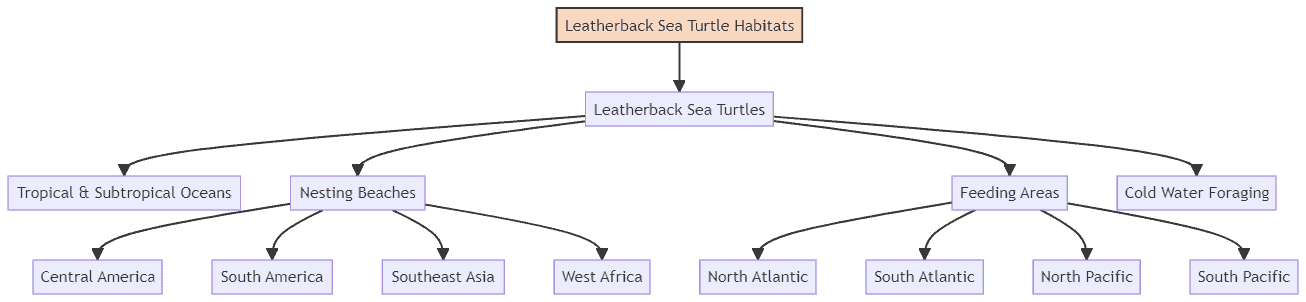 leatherback sea turtle habitat
