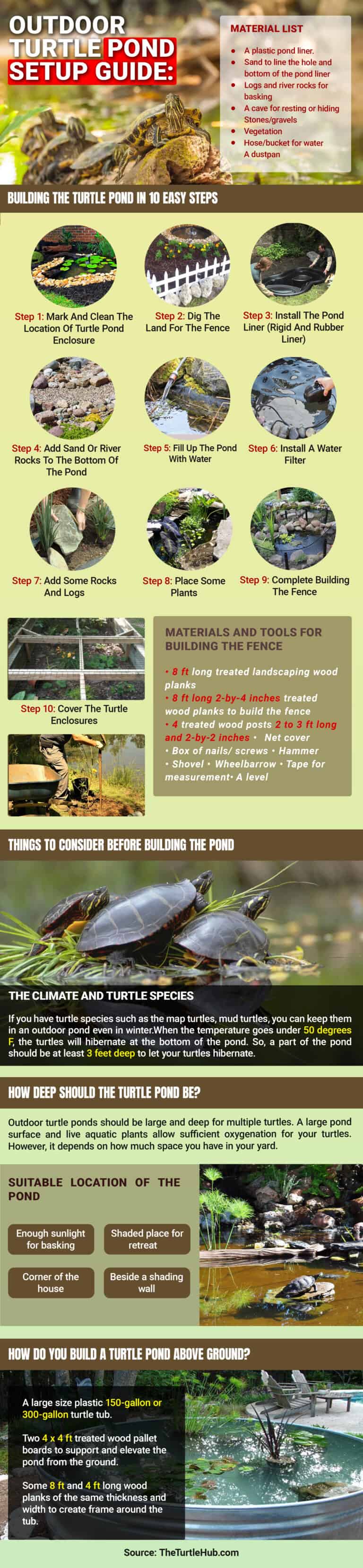 outdoor turtle pond setup guide infographic
