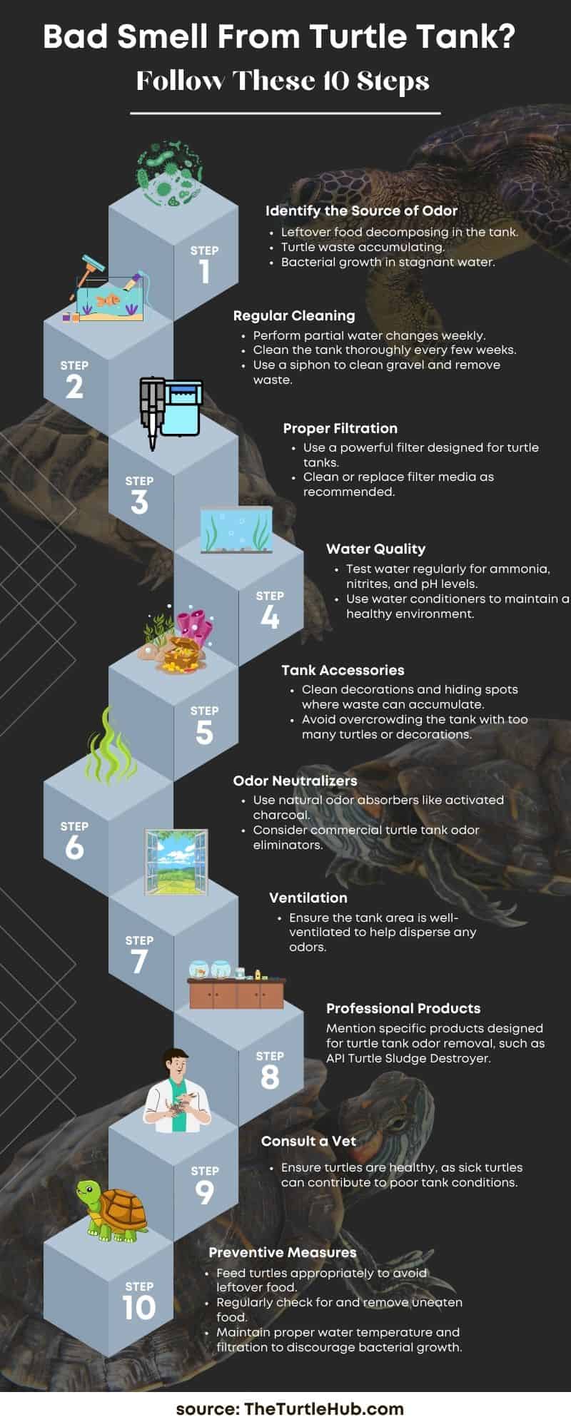 turtle tank smell causes & solution infographic The Turtle Hub