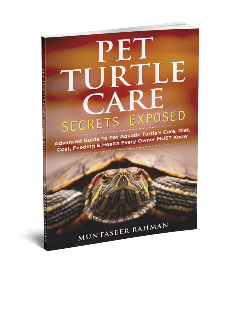 pet turtle care secrets exposed ebook mockup