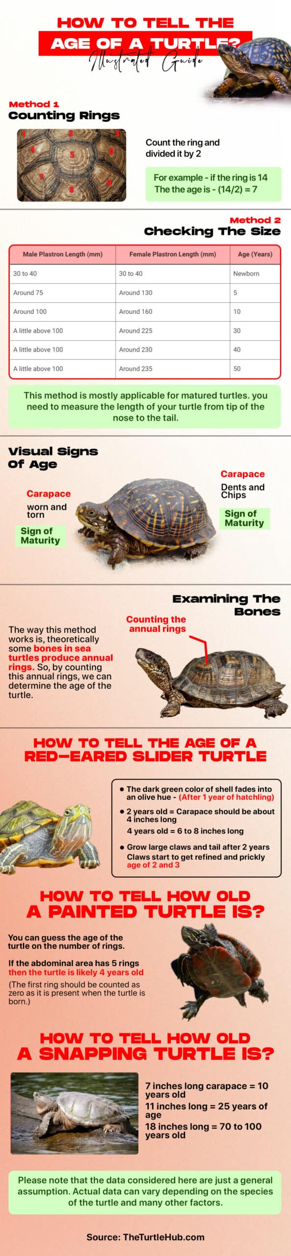 how to tell the age of a turtle infographic