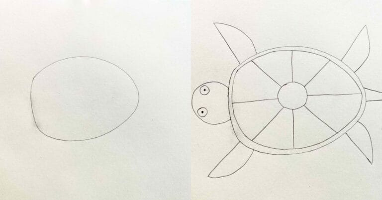3 Simple And Cute Turtle Drawing Ideas For Kids