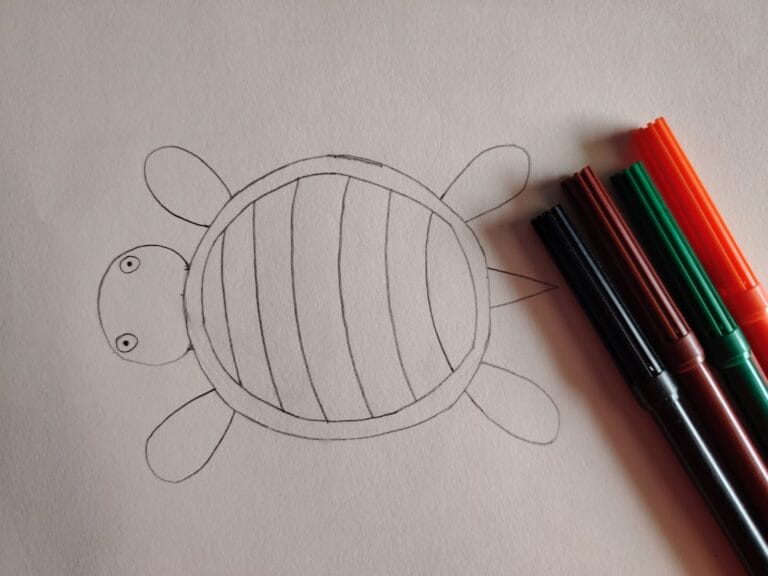 Turtle Drawing & Coloring Guide For kids [Step by Step]
