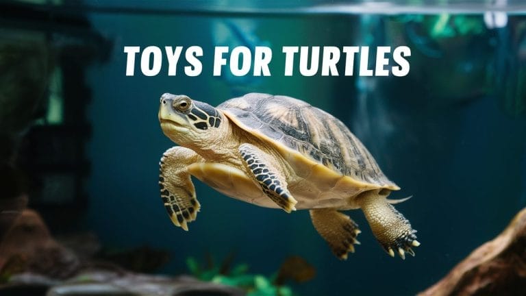 The Best Interactive Turtle Toys You Never Knew Existed – The Turtle Hub