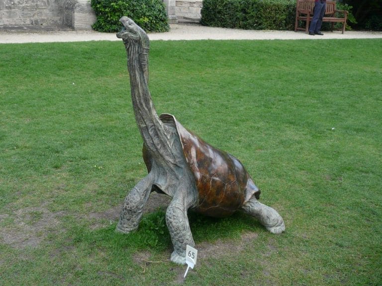 Cylindraspis vosmaeri (Saddle-backed Rodrigues Giant Tortoise)