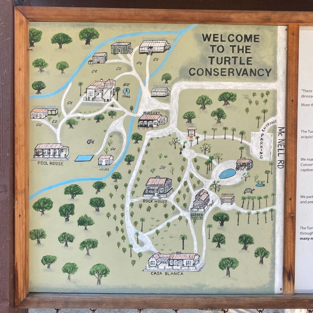 Turtle Conservancy in Ojai A Sanctuary for Endangered Species The