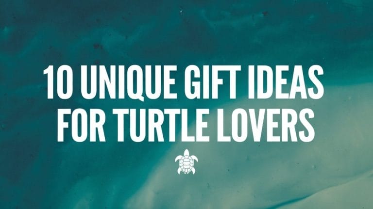 10 Must-Have Gifts for Turtle Lovers That You’ve Never Thought Of