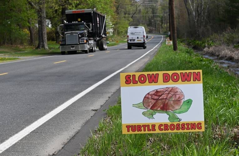 Turtle Crossing Signs Go Up on Montague City Road — Thanks to Kids, Locals, and a Lot of Heart